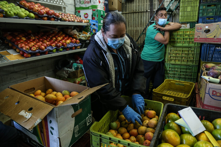 Seguridad Alimentaria