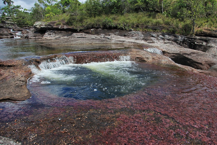 caño cristales colombia