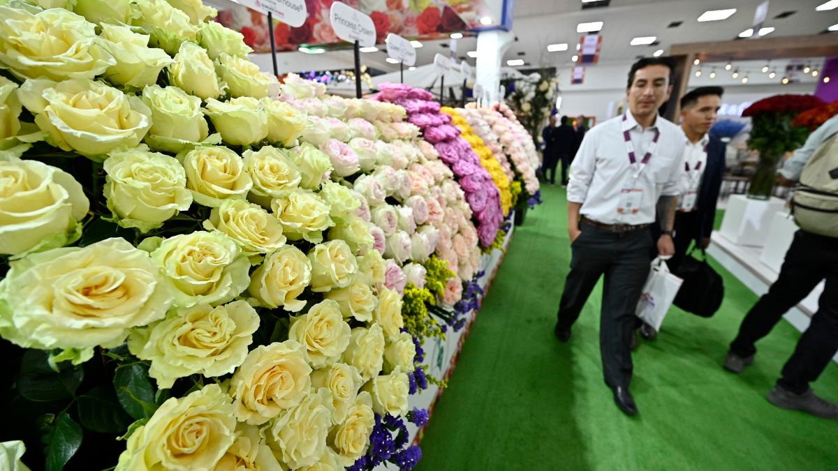 Flores de Colombia y Ecuador atención del mundo