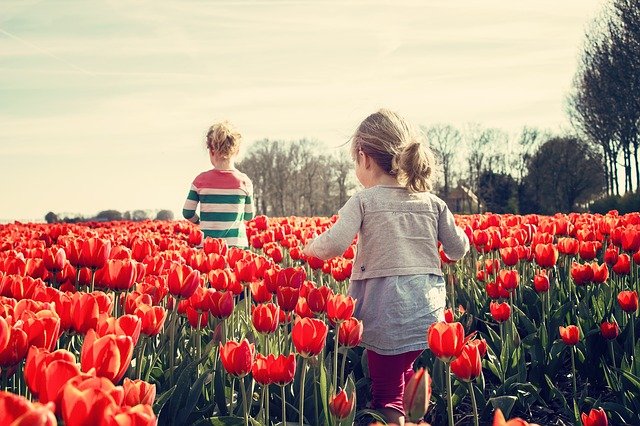 niños corriendo en medio de una gran jardín