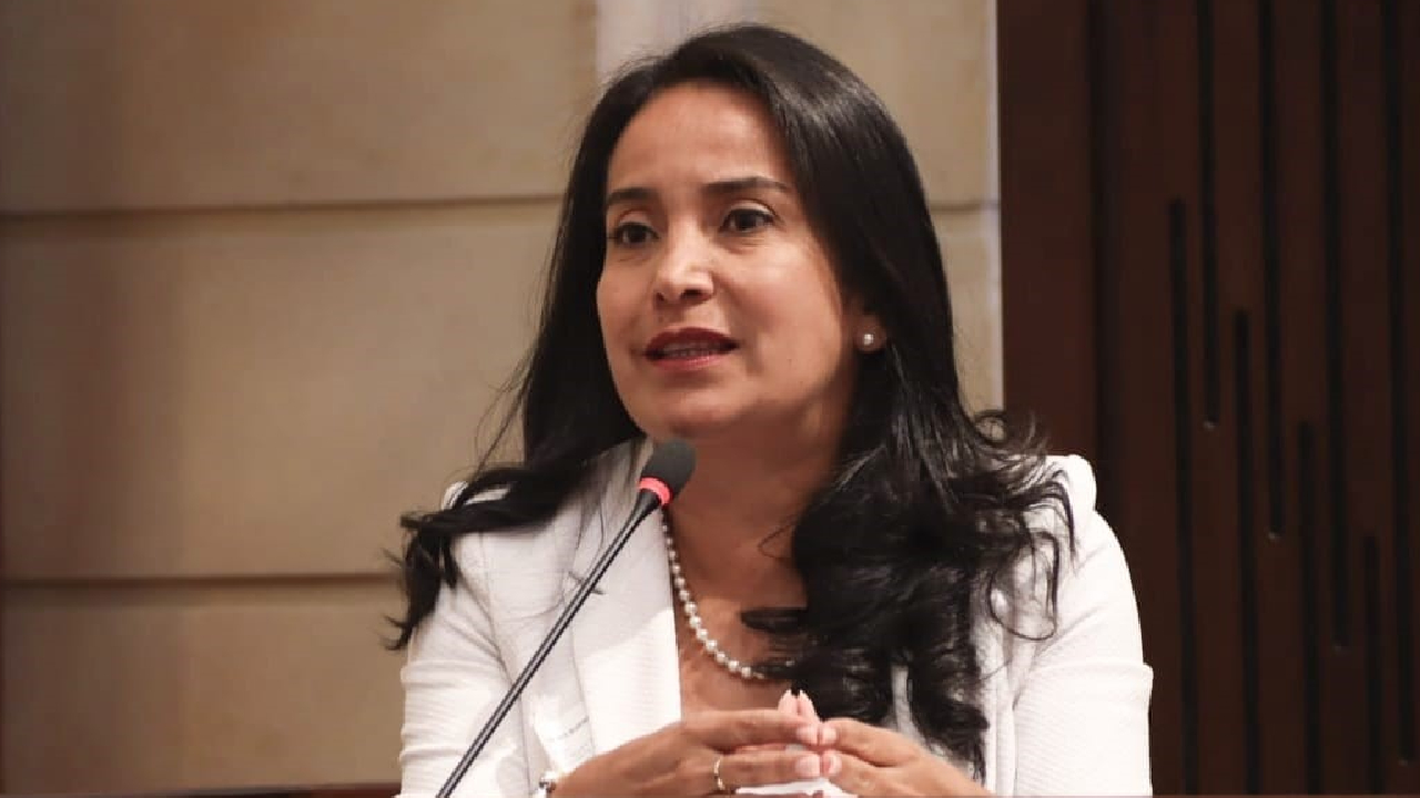 Bibiana Bueno Asocoldro - irregularidades en droguerÃas