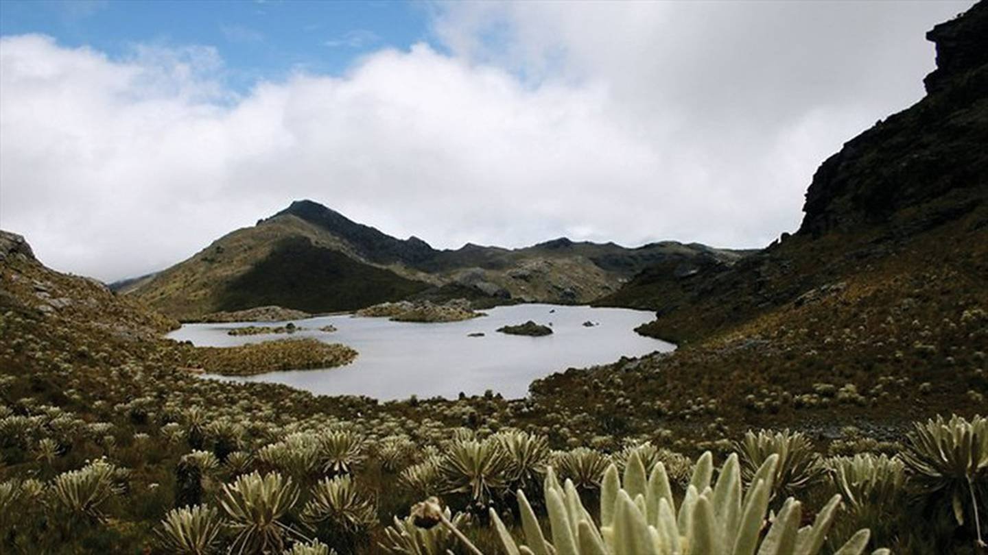 paramo santurban municipio vetas