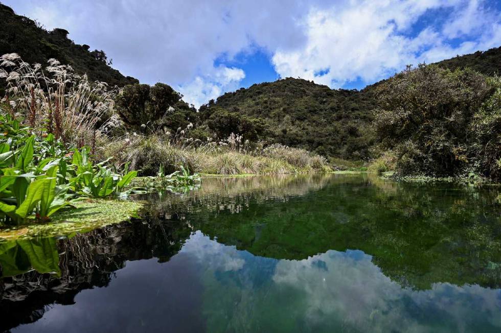 Imagen de un lago en el Parque Nacional Natural Puracé