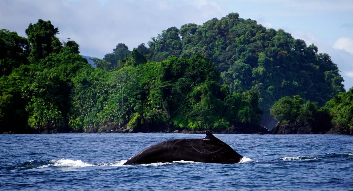 Bahia Solano. Foto: colombia.com