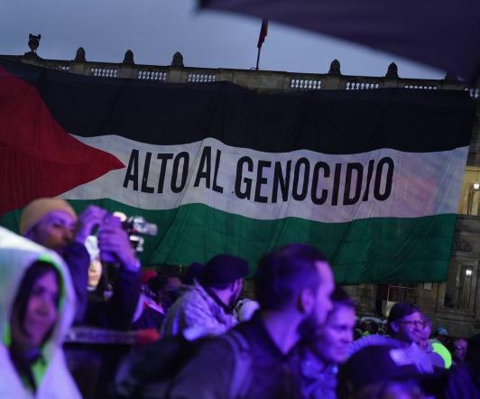 Bandera de Palestina en el Congreso