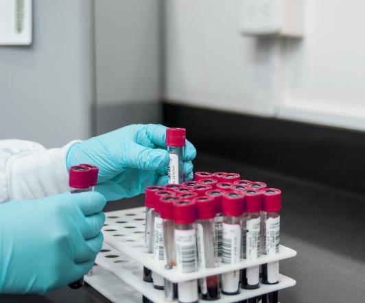 Laboratorio.jpg