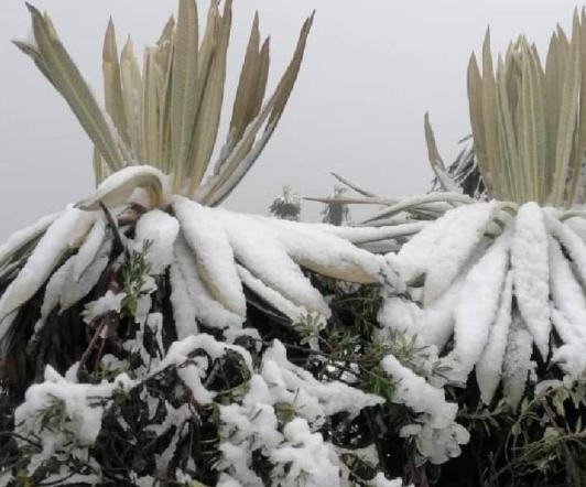 Nevada-Paramo-de-Sumapaz.jpg