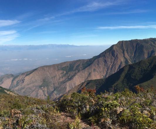Serrania-del-perija-segundo-dinosaurio-descubirto-en-Colombia.jpg