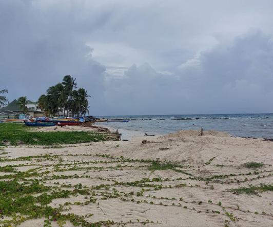 Tormenta-Julia-1.jpg