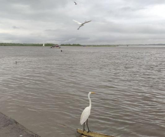 alerta-naranja-barrancabermeja.jpg