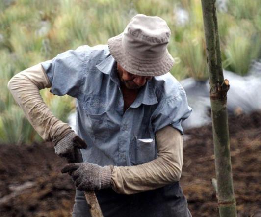 fao-colombia-llamado-a-gobierno-petro.jpg