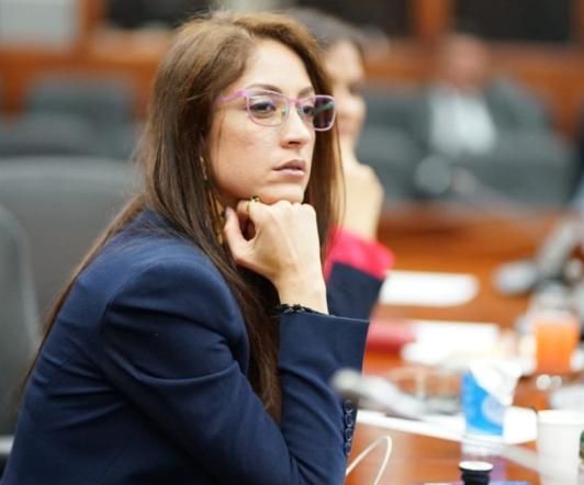 jennifer-arias-plagio-tesis.jpg