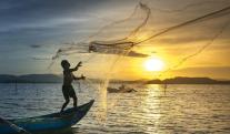 Hay-oportunidades-en-la-acuicultura-y-la-pesca-en-Noruega.jpg