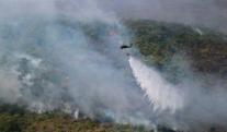 Incendios-forestales-Gauviare.jpg