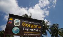 Isla-Gorgona.jpg