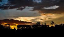 My-project-1-56.jpg
