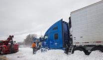 Nevadas.jpg