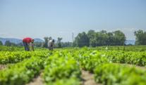 ciencia-agropecuaria.-Foto_-Freepik.jpg