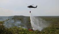incendio-forestal.jpg