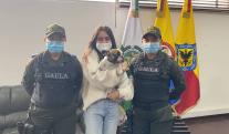 liberacion-Venus-perrita-Bulldog.jpg