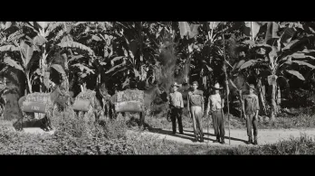 Foto Robada: la verdad detrás de la masacre de las bananeras, documental que podrás ver gratis en RTVCPlay