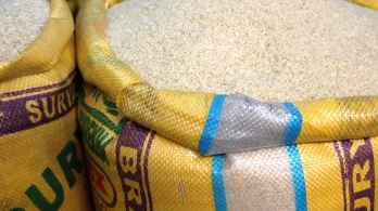 Propuestas para el sector arrocero en Colombia. / Foto: Pixabay.