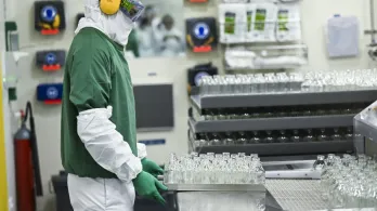 Todo comenzó en 2021, cuando un grupo de científicos logró extraer fragmentos de ADN de fósiles de lobos gigantes hallados en Ohio e Idaho. / AFP.