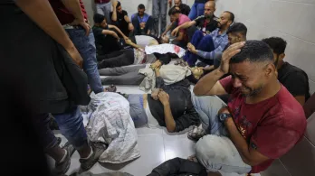 Palestinos asesinados mientras recogían ayuda humanitaria
