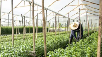 Así van la exportaciones en el país. / Foto: Asocolflores.