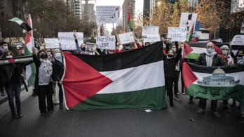 Parlamentarios británicos exigen al primer ministro reconocer a Palestina
