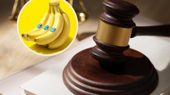 Fallo histórico a directivos de Chiquita Brands. / Fotos: Freepik y Chiquita Brands.