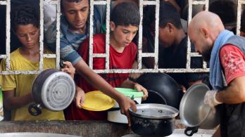 Exhortan detener la crisis de ayuda y alimentos en Gaza. / Foto: AFP.