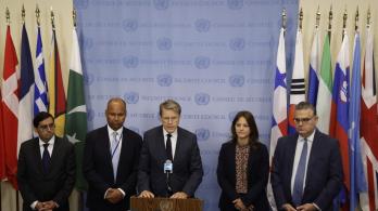 Declaración pública ONU.