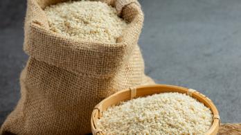 Precios de tonelada por arroz. / Foto: Freepik.