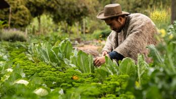 Colombia impulsa su transformación económica con reforma agraria histórica