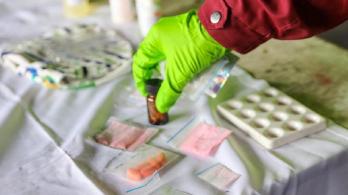 Organizaciones sociales denuncian retroceso en política de drogas en Bogotá