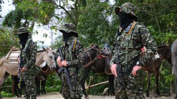 Autodefensas.