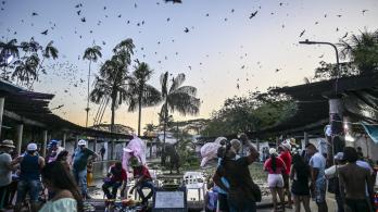 Turismo en Leticia.