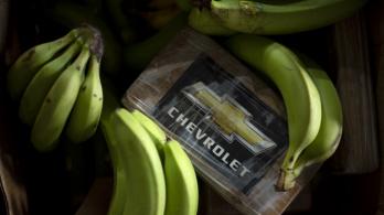 Droga escondida en cargamento de banano.