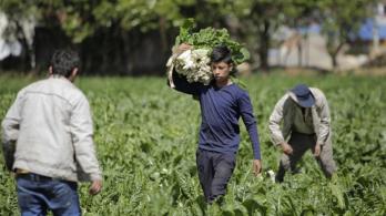 Colombia registra la tasa de desempleo más baja en 24 años para el mes de agosto