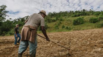 Agro colombiano genera 4,8 millones de empleos