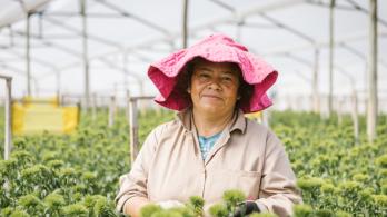 Impulso a la economía colombiana en las mujeres. / Foto: Dirección de Mujer Rural.