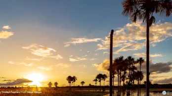 Los morichales, un paraíso natural en los Llanos Orientales