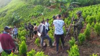 Brigada Móvil N.37 destruye 2 semilleros ilegales con cocaína y desactiva artefacto explosivo en