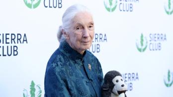 Jane Goodall. / Foto: AFP.