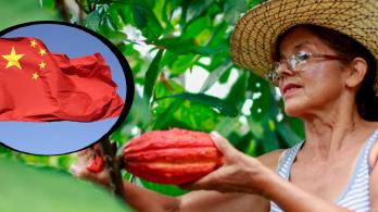 China abre sus puertas al agro colombiano en la VIII Exposición Internacional de Importaciones