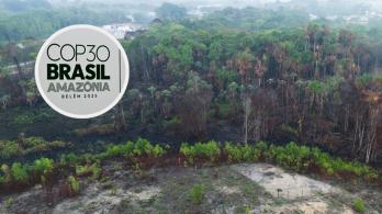 COP30 en Brasil. / Fotos: AFP.