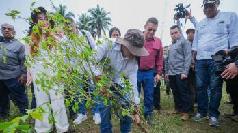 Sustitución de cultivos ilícitos alcanza 26 mil hectáreas en Colombia