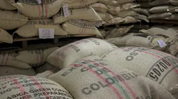 The Economist destaca economia colombiana en 2025.