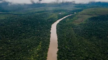 Deforestación en el Amazonas. / Foto: MinAmbiente.